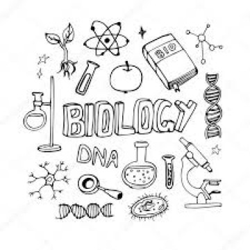 Ofer Meditatii Bac Biologie - Anatomie fiziologie genetica